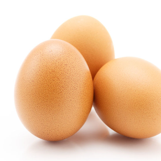 eggs-white-and-brown-eggs_1699305886D5S6GU.jpeg